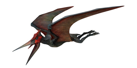 Realistic depiction of a soaring pterosaur. © Ilie