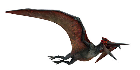 Illustration of a flying pterosaur with red wings © Ilie