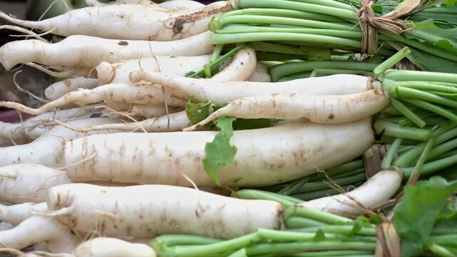 fresh organic White Radish sales in a south indian market. 