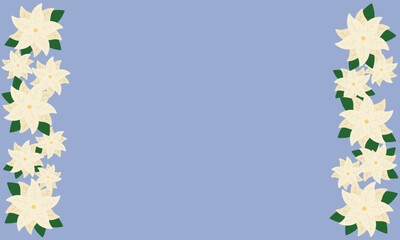 Christmas Blue Background with White Poinsettias for Winter Wallpapers, Digital Backgrounds, Greeting Cards, Party Decor, Social Media, and Invitations