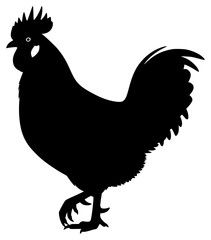 A black silhouette of a rooster on a , black, cock, illustration, profile, stand, against transparent background © Alloca Design Studio