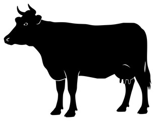 A black silhouette of a cow standing on a , animal, black, bull, cattle, cow, illustration, profile, stand, trumpet, against transparent background