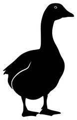 A black silhouette of a duck standing on a , beak, black, duck, goose, profile, stand, against transparent background