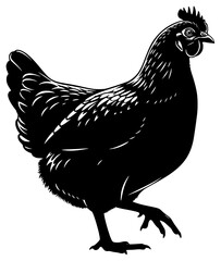 A black and white silhouette of a chicken on a plain , black, chicken, cock, hen, illustration, profile, stand, against transparent background