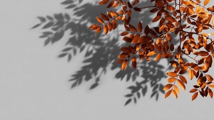 Autumn leaves cast shadows on a gray background