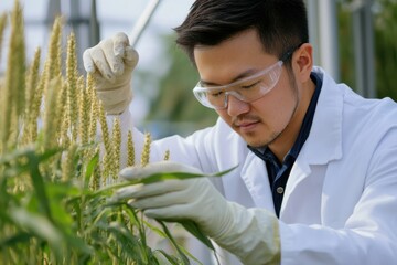 A diligent agricultural scientist in a lab coat and safety goggles closely studies the growth of wheat plants in a research facility.
