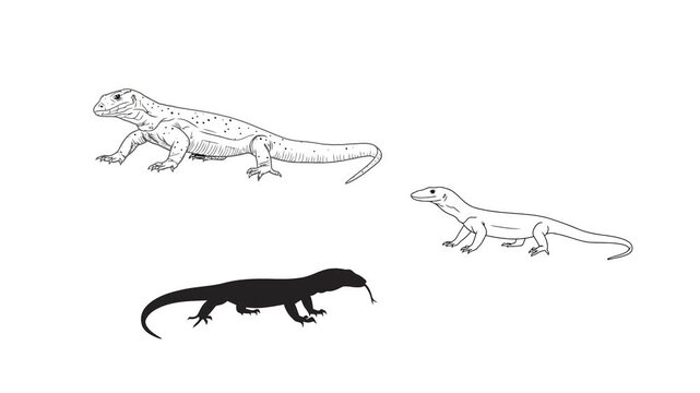 Animated Komodo Dragon Vector Illustration