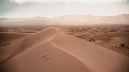 Desert background. Dunes in the middle of summer, sunset. Desolate, without people.