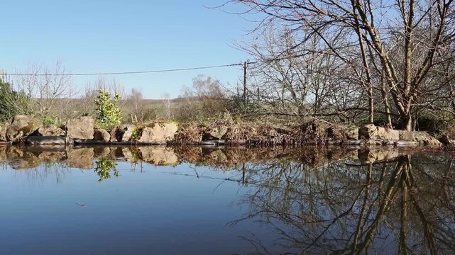 Mare rurale en zone humide avec reflets d&rsquo;arbres et de rochers dans l&rsquo;eau calme, paysage naturel et habitat d&rsquo;amphibiens