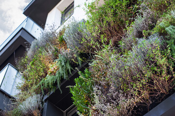 Green building in the city