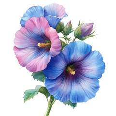 Naklejka premium watercolor of Hollyhock Flower, hand-drawn, isolated on a white background.