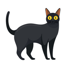 Bombay cat. Flat vector clipart illustration with isolated background.