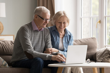 Active aging and digital technologies. Smiling senior husband skilled computer user teach interested older wife to work with bank app show social media pages explain how to browse internet on notebook