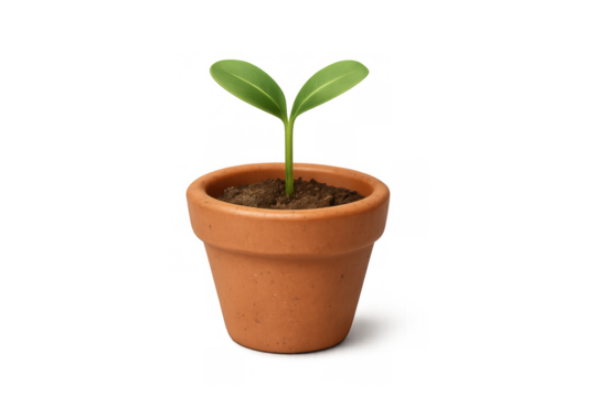 Small green seedling emerging from soil within a terracotta pot, symbolizing new life, development, and environmental support - Powered by Adobe
