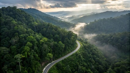 Drone-level panoramic view of a curving hillside roadway weaving through dense rainforest canopy, deep green foliage layered with humid haze, subtle sunlight breaking through clouds, atmospheric