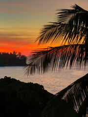 View from luxury villa at dusk, palm tree, sea and orange sky on background, island