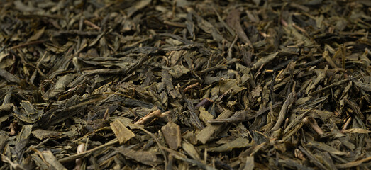 Green tea leaves macro textured background