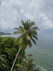 stone staircase leading through tropical trees to the sea and rocky coast, palm trees, surf, azure water