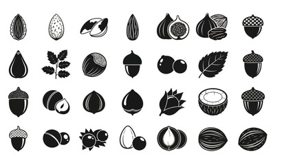 Collection of Various Nuts and Seeds Illustrated as Simple Black and White Icons on a White Background © charli