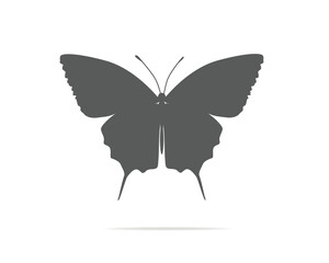 blue watercolor flock of butterfly design hand drawn