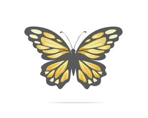 blue watercolor flock of butterfly design hand drawn