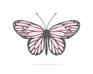 blue watercolor flock of butterfly design hand drawn