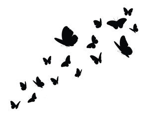 black flock of butterfly design