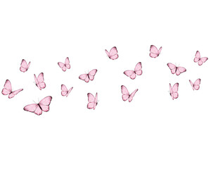 pink watercolor and butterflies illsutration	