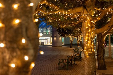 日立駅前のクリスマスイルミネーション