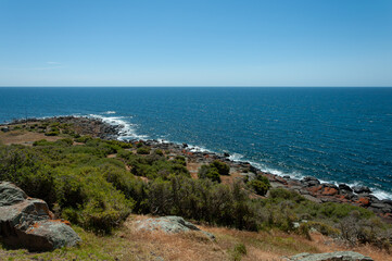 Low-Head Tasmanian coastline with rocky cliffs, blue ocean, waves, and coastal vegetation; ideal for travel marketing and outdoor themes. Ideal for travel layouts and scenic branding.