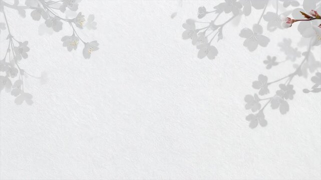 桜の花が舞う和風の白背景 右パン
