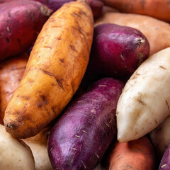 Sweet potatoes arranged neatly on a white background with crisp lighting. Great for grocery catalogs, ingredient layouts, plant-based diet themes, and minimalist food imagery.