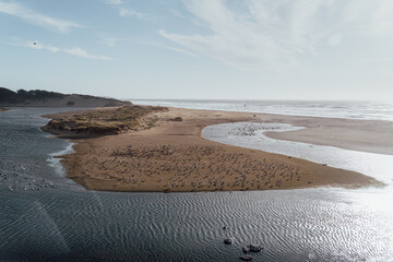 river turns at the coast