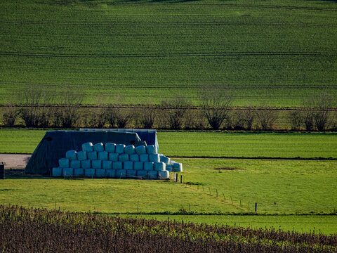 Silageballen lagern auf einem Feld
