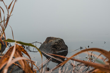 stone by the lake in the mist