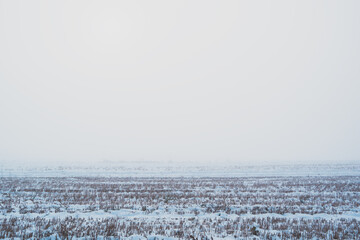 winter landscape with snow in mist