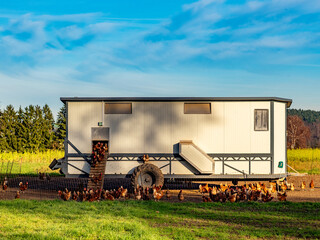 Freilaufende Hühner an einem Hühnerwagen  © focus finder