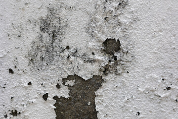 Peeling paint revealing concrete texture and mold growth
