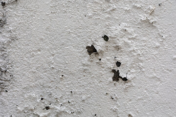White wall with peeling paint showing decay texture