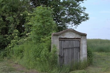 entrance to the old basement in the ground is overgrown with weeds and bushes