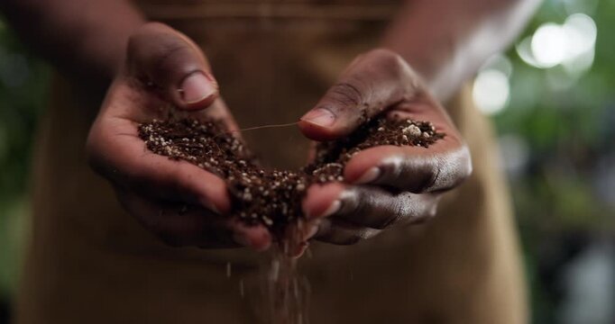 Florist, hands and soil with quality inspection in nursery for plant health, nutrient balance or bokeh. Sustainable small business, person and check fertilizer for ph levels and eco friendly growth