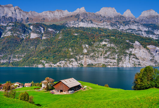 Wide Angle View of Rural Swiss Farm in Quarten on Lake Walen