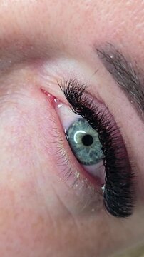 Female eye with long thick eyelash extensions blinking and looking in camera in vertical close-up video. lash extension and lamination results for beauty, salon, cosmetology and eye care