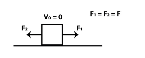 Equilibrium Of A Block With Equal Opposing Forces On A Surface Demonstrating Newton's First Law