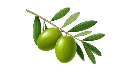 Realistic illustration of an olive branch with green leaves and two vibrant green olives on black