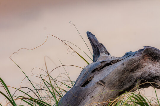 Paisagem beleza natureza verde 
