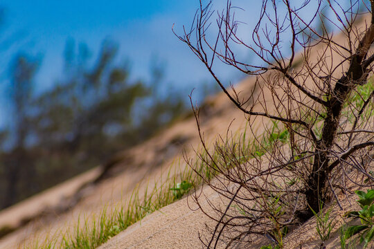 Paisagem beleza natureza verde 