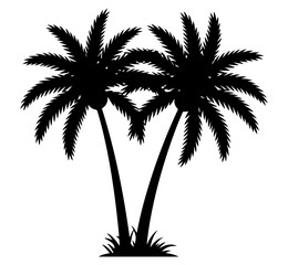 Silhouette of two tall palm trees on white background