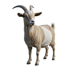 A majestic goat standing gracefully, with its distinctive horns and coat displayed, isolated on transparent background