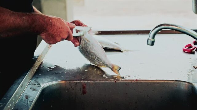 Hands of a fishmonger vigorously cleaning and scaling a fish at a stainless steel sink, water splashing around in a busy market preparation scene